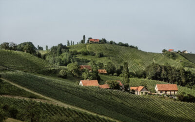 Steirische Weinstraße